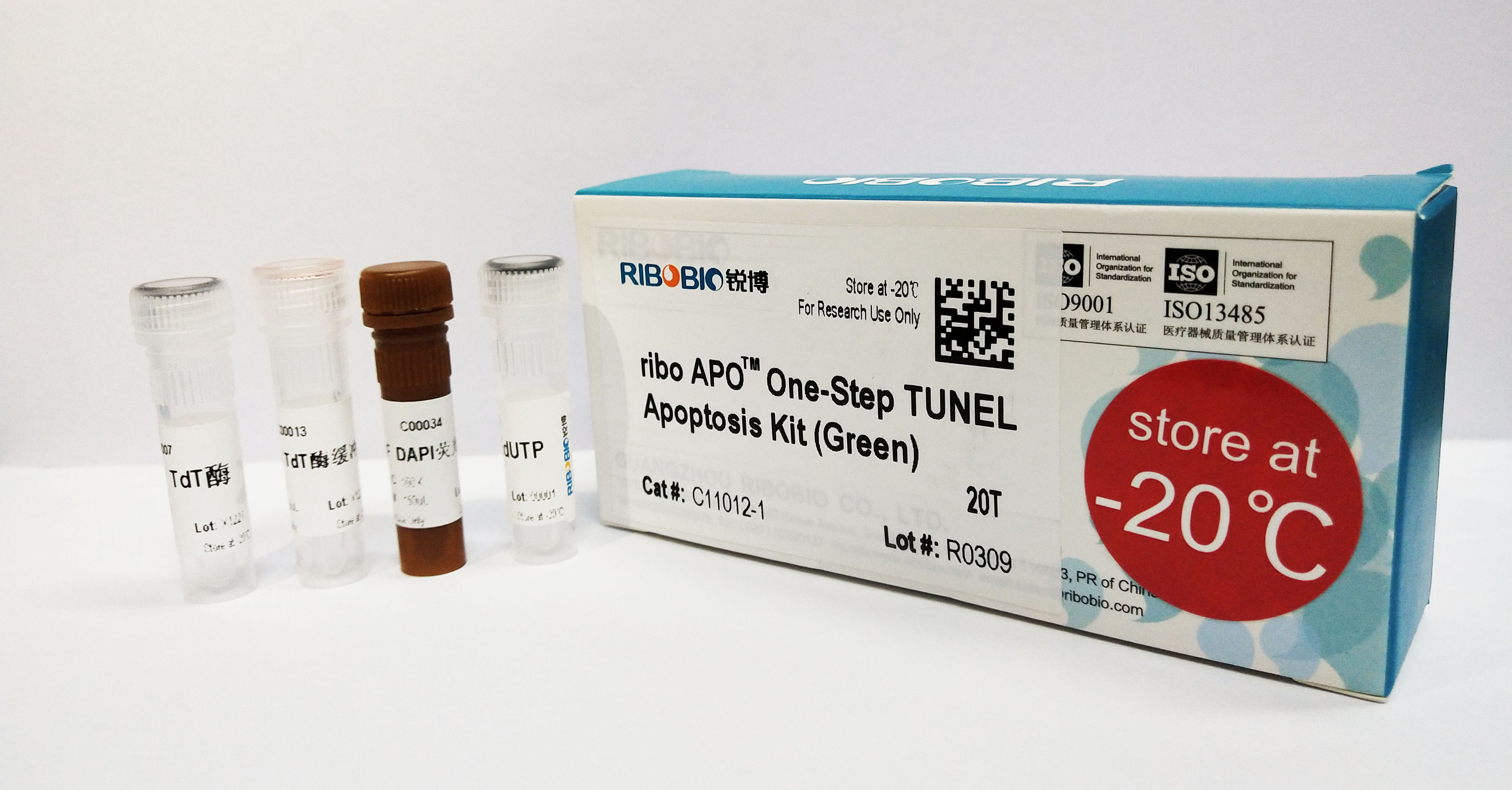 riboapo one-step tunel apoptosis kit (green)(20t)
