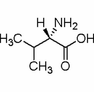 l-缬氨酸,99.00%