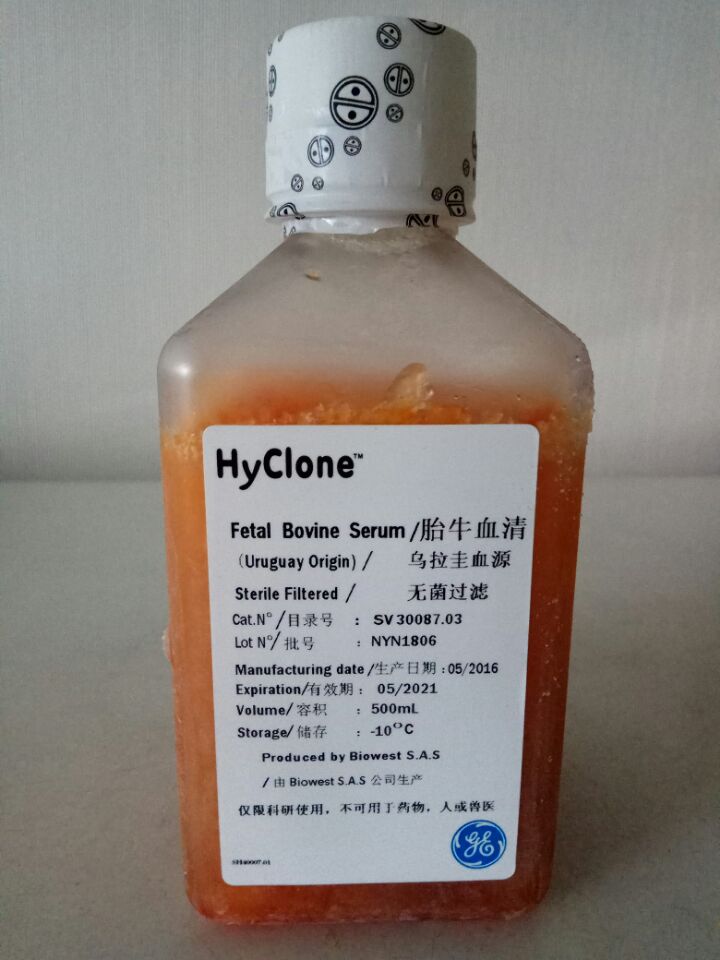 sv30087.03 hyclone南美胎牛血清/乌拉圭胎牛血清