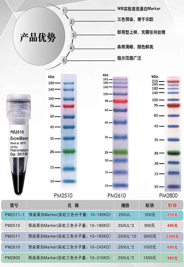 预染蛋白marker(彩虹三色:10-310kda)