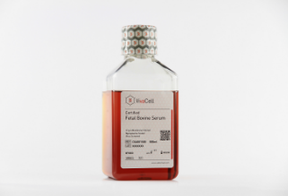 c04001-500 certified fetal bovine serum 特级胎牛血清(原货号:04