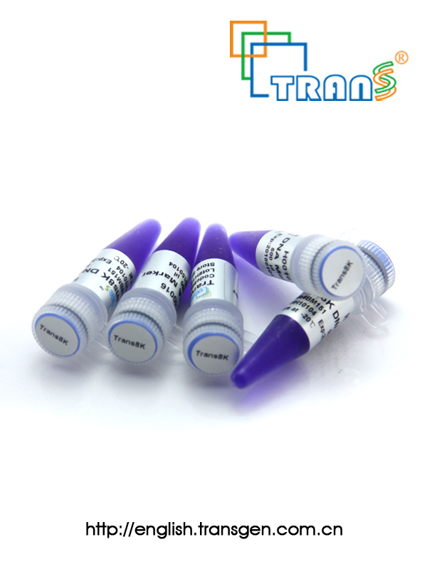 Trans8K DNA Marker
