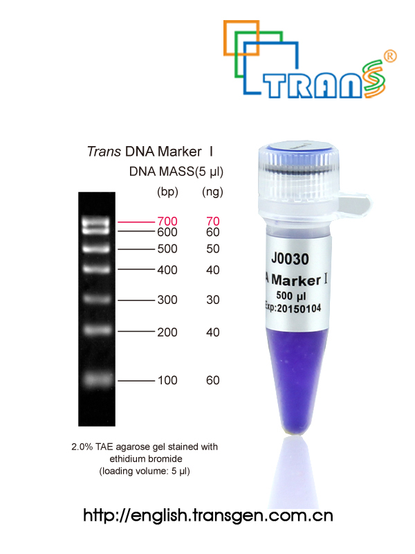 Trans DNA Marker I
