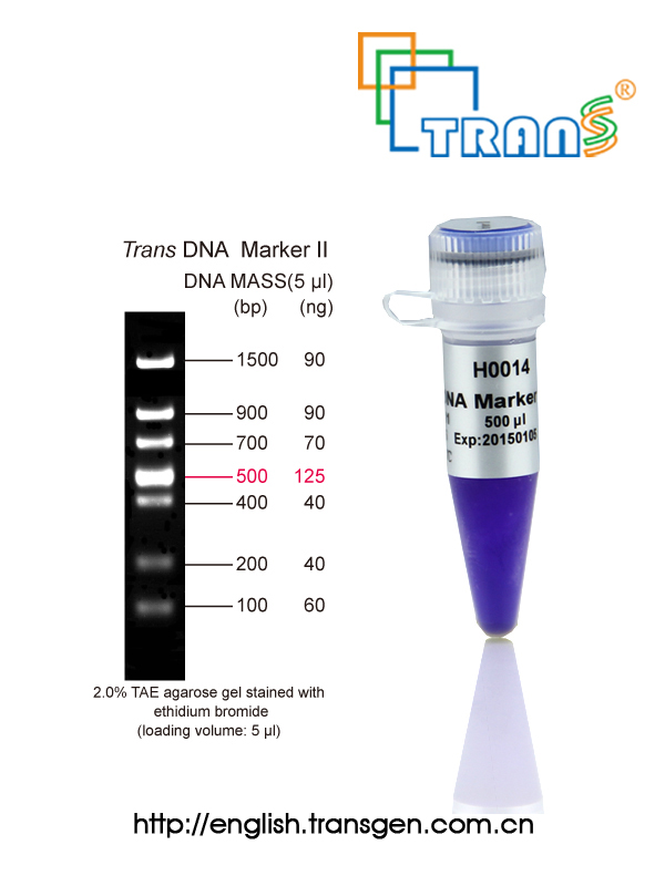 Trans DNA Marker II