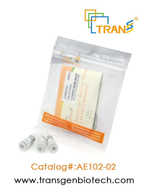 EasyScript® Reverse Transcriptase