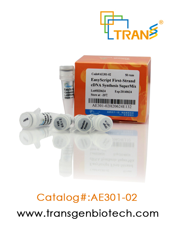 EasyScript® First-Strand cDNA Synthesis SuperMix