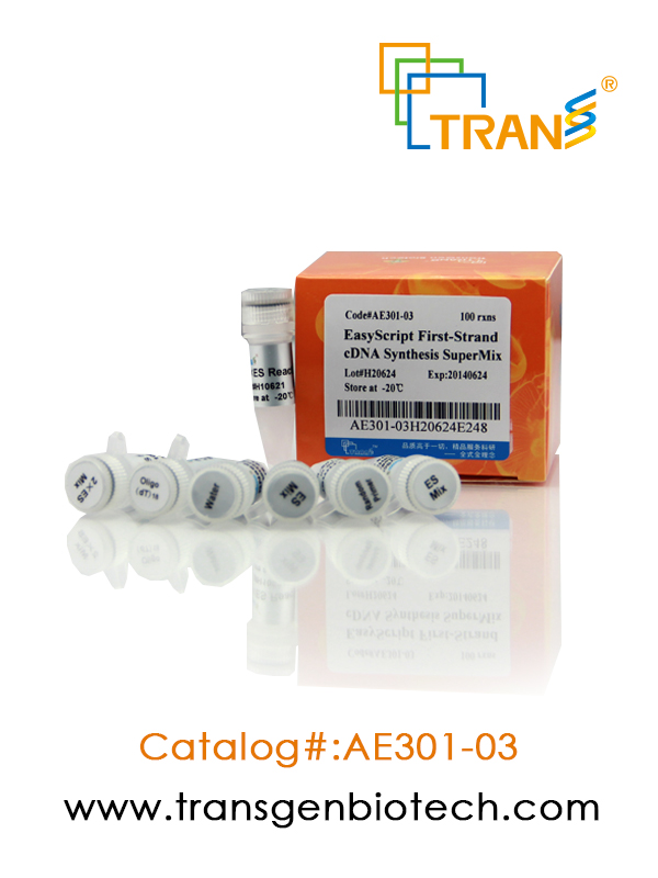 EasyScript® First-Strand cDNA Synthesis SuperMix