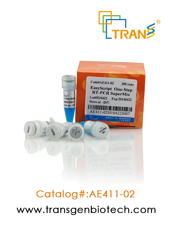EasyScript®  One-Step RT-PCR SuperMix (+dye)