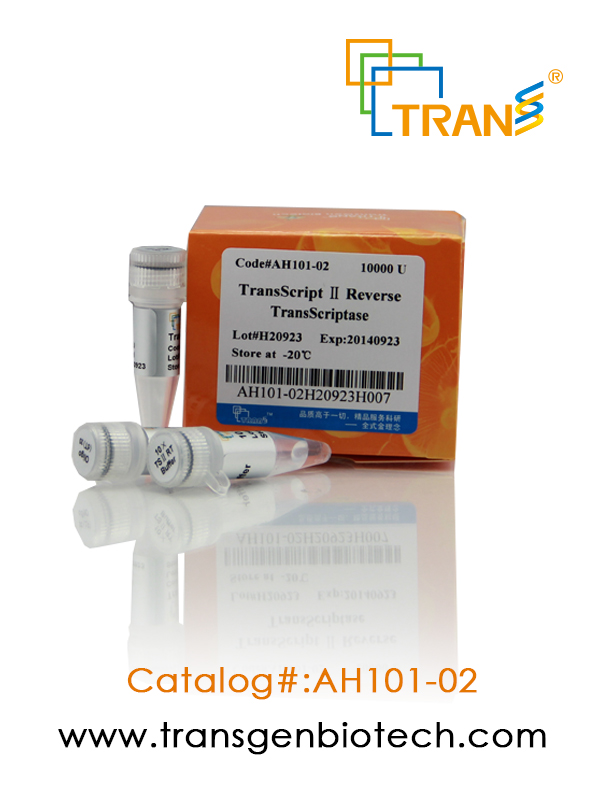 TransScript® II Reverse Transcriptase