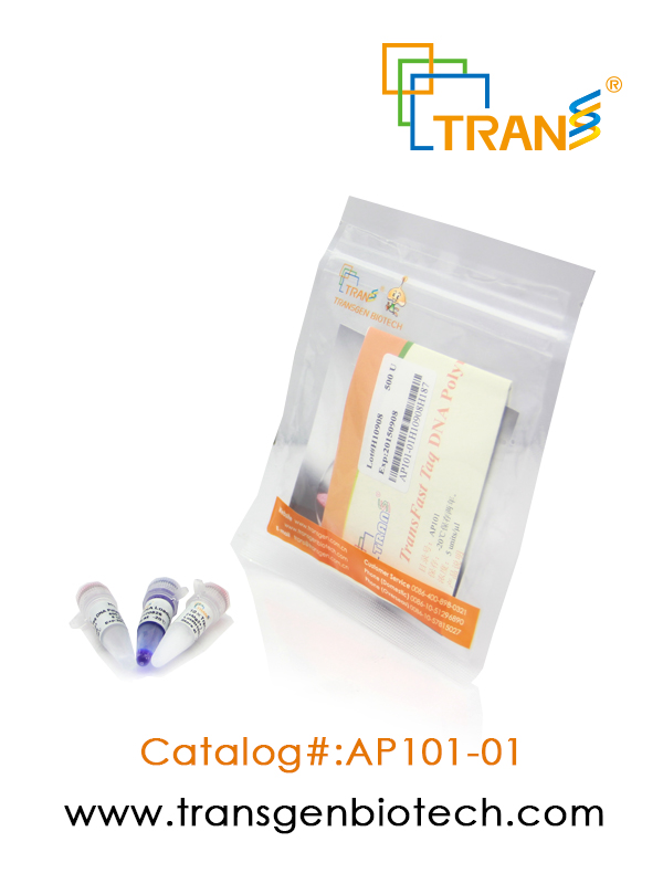 TransFast® Taq DNA Polymerase