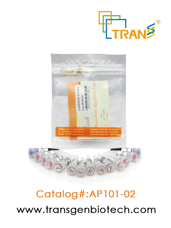 TransFast® Taq DNA Polymerase