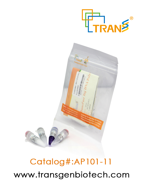 TransFast® Taq DNA Polymerase(含 2.5 mM dNTPs)