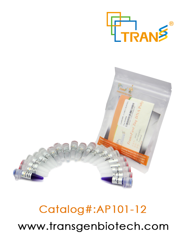 TransFast® Taq DNA Polymerase(含 2.5 mM dNTPs)