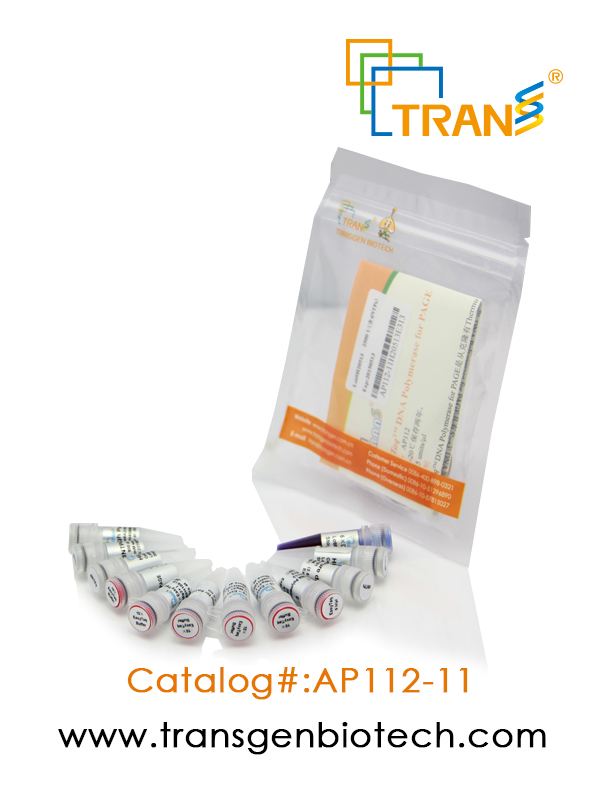 EasyTaq® DNA  Polymerase for PAGE(含 2.5 mM dNTPs)
