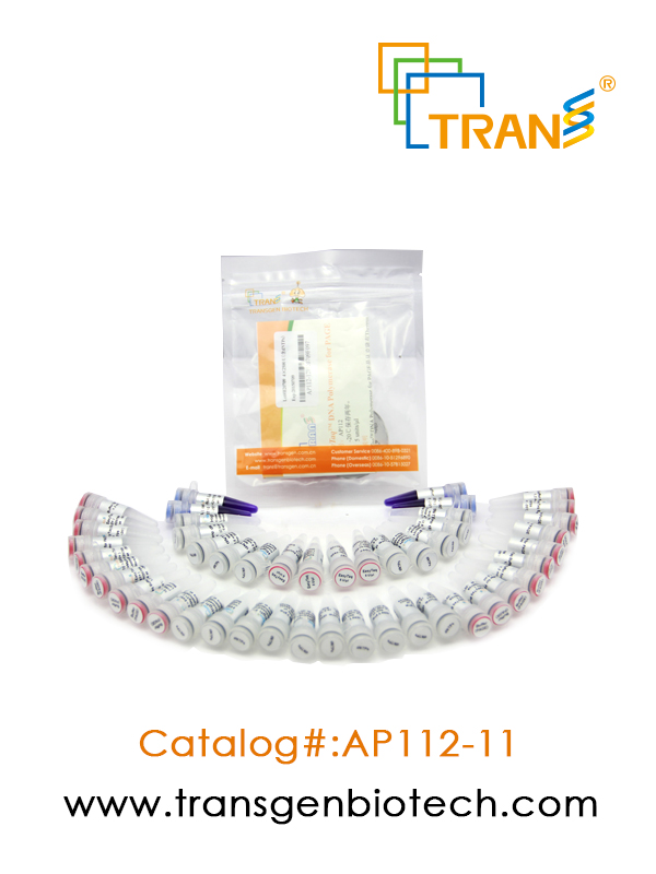EasyTaq® DNA  Polymerase for PAGE(含 2.5 mM dNTPs)