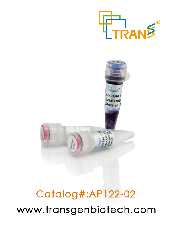 TransTaq®-T DNA Polymerase