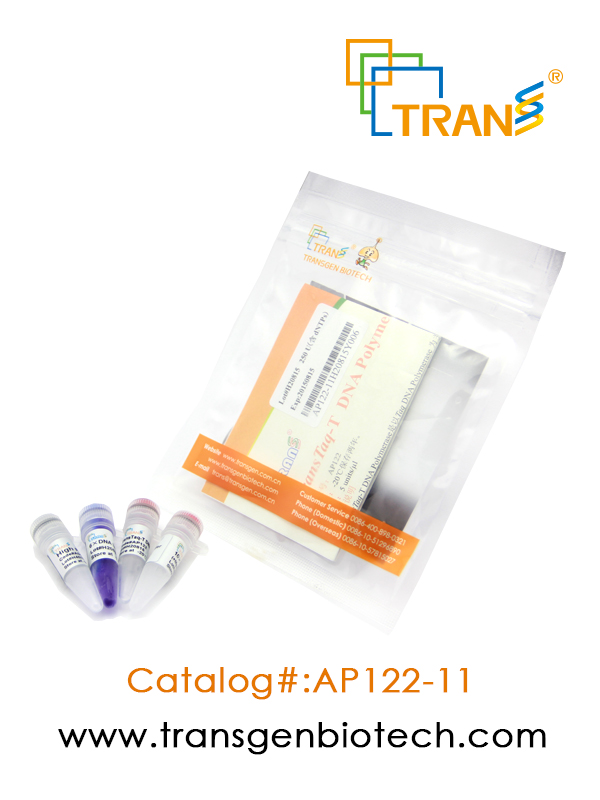 TransTaq®-T DNA Polymerase(含 2.5 mM dNTPs)