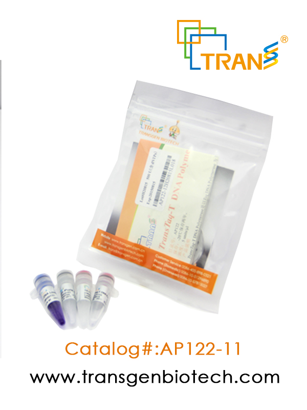 TransTaq®-T DNA Polymerase(含 2.5 mM dNTPs)