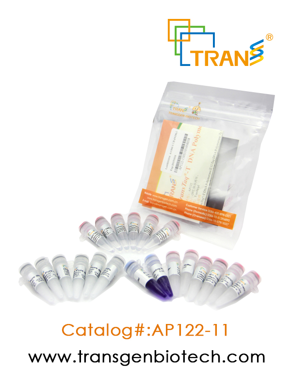 TransTaq®-T DNA Polymerase(含 2.5 mM dNTPs)