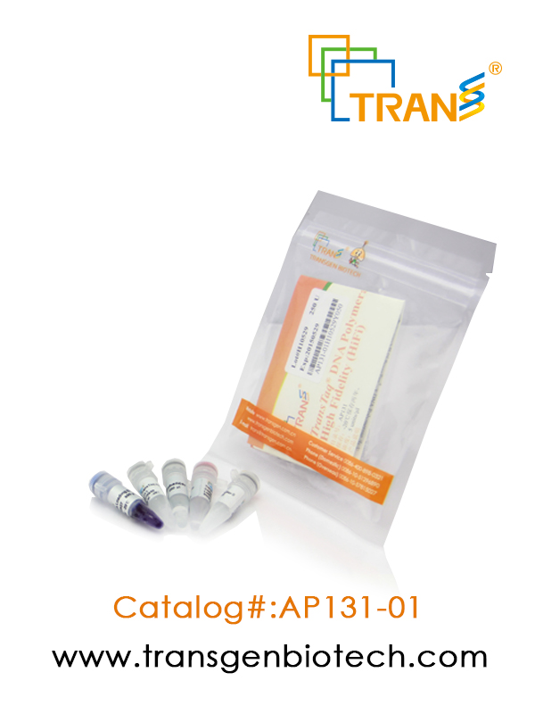 TransTaq®  DNA Polymerase High Fidelity（HiFi）