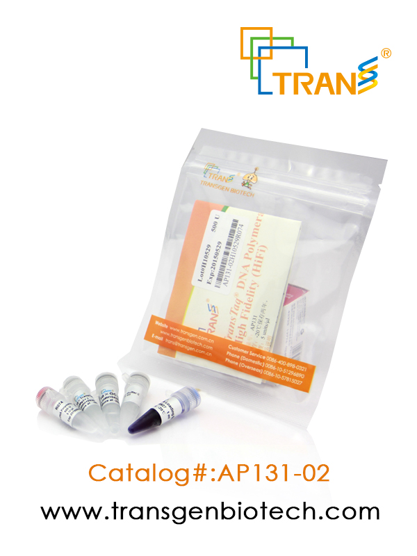 TransTaq®  DNA Polymerase High Fidelity（HiFi）