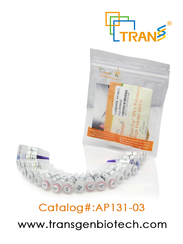 TransTaq®  DNA Polymerase High Fidelity（HiFi）