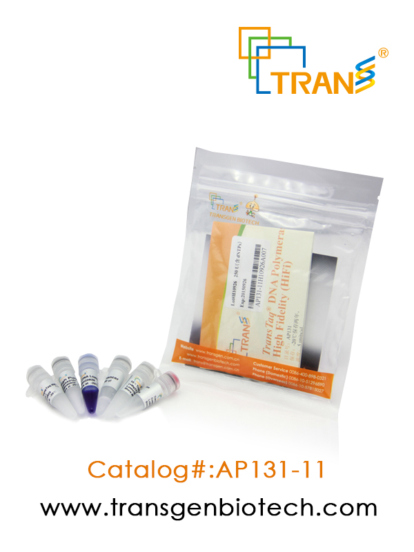 TransTaq® DNA Polymerase  High Fidelity（HiFi）(含 2.5 mM dNTPs)