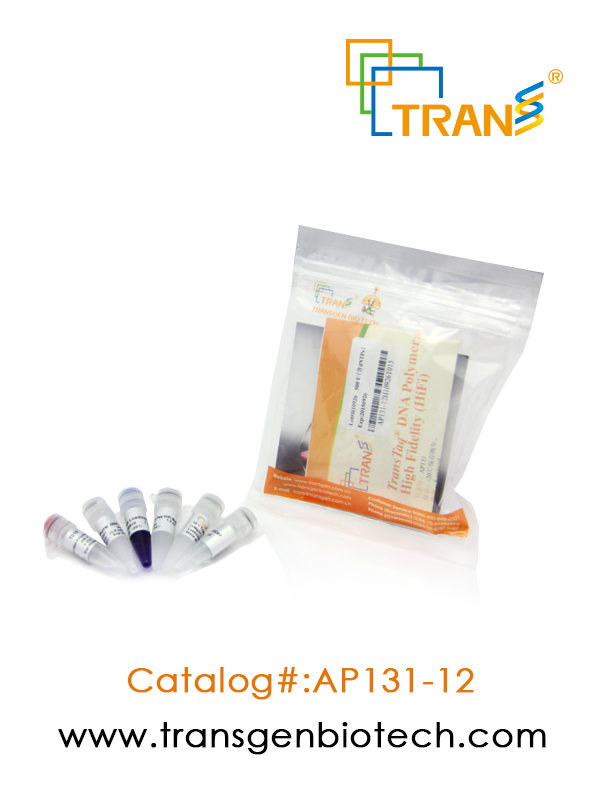 TransTaq® DNA Polymerase  High Fidelity（HiFi）(含 2.5 mM dNTPs)