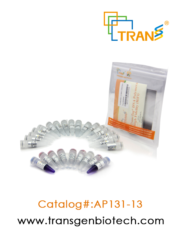 TransTaq® DNA Polymerase  High Fidelity（HiFi）(含 2.5 mM dNTPs)