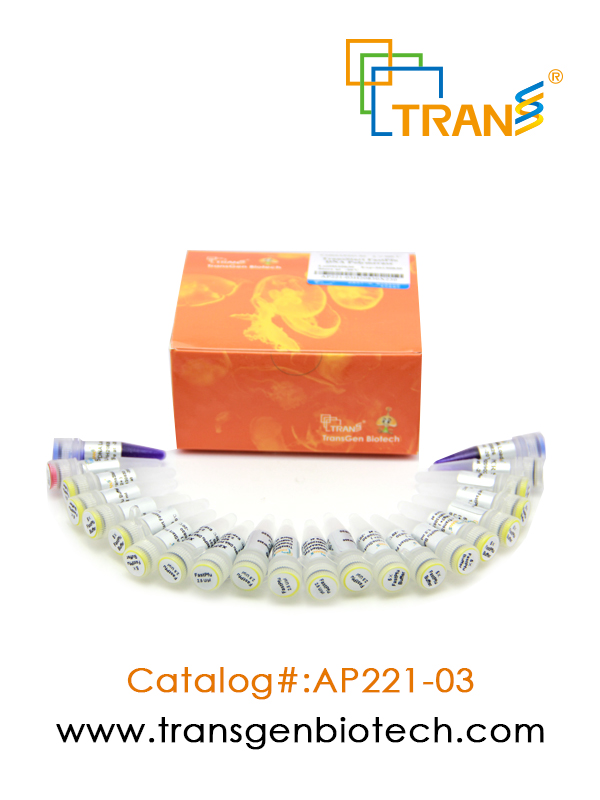 TransStart®  FastPfu DNA Polymerase