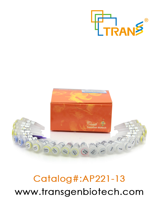 TransStart® FastPfu DNA Polymerase(含 2.5 mM dNTPs)