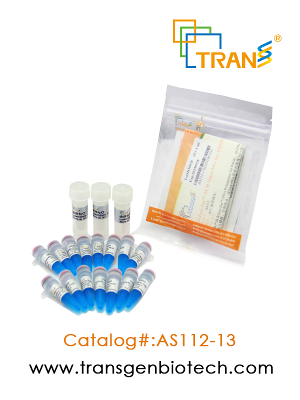 2×EasyTaq® PCR SuperMix  for PAGE (+dye )