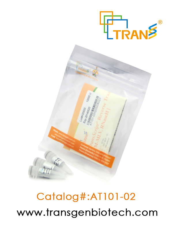 TransScript® Reverse Transcriptase