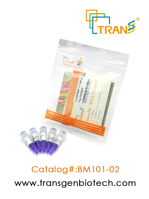 Trans2K® DNA Marker