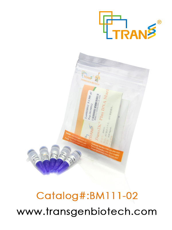 Trans2K® Plus DNA Marker