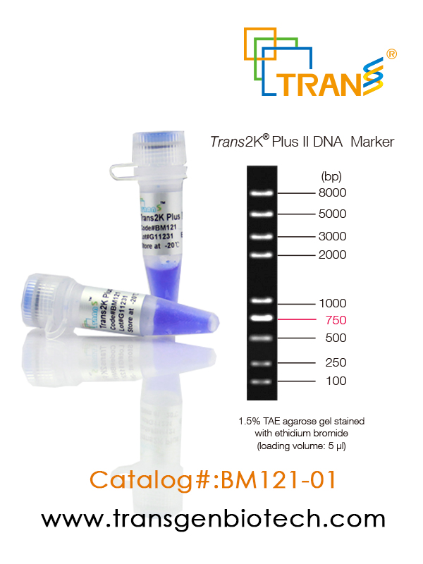 Trans2K® Plus II DNA Marker