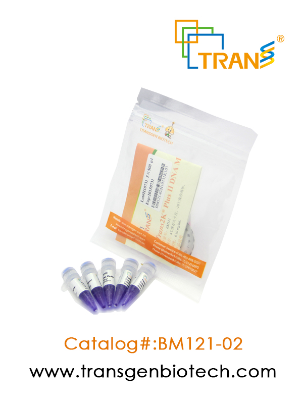 Trans2K® Plus II DNA Marker