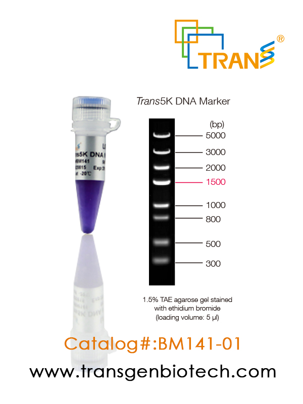 Trans5K DNA Marker