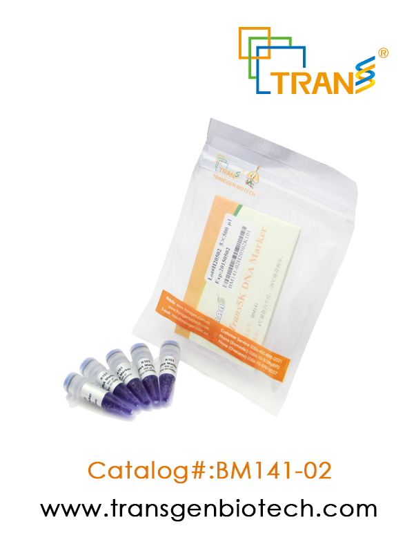 Trans5K DNA Marker