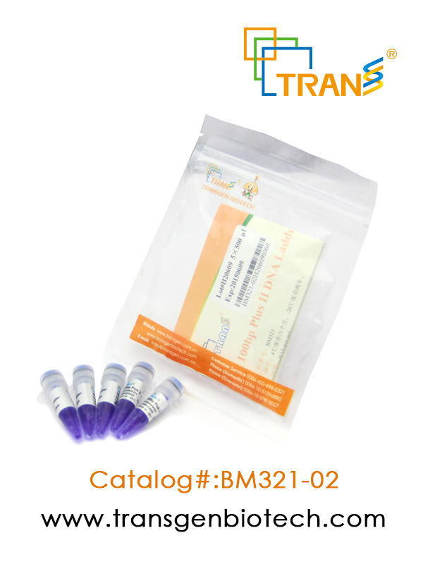 100bp Plus II DNA Ladder