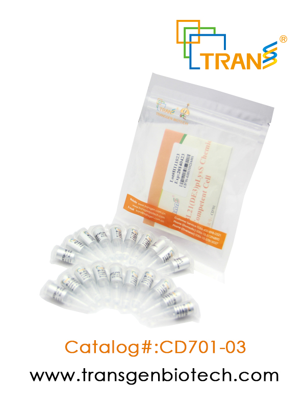 BL21(DE3) pLysS Chemically Competent Cell