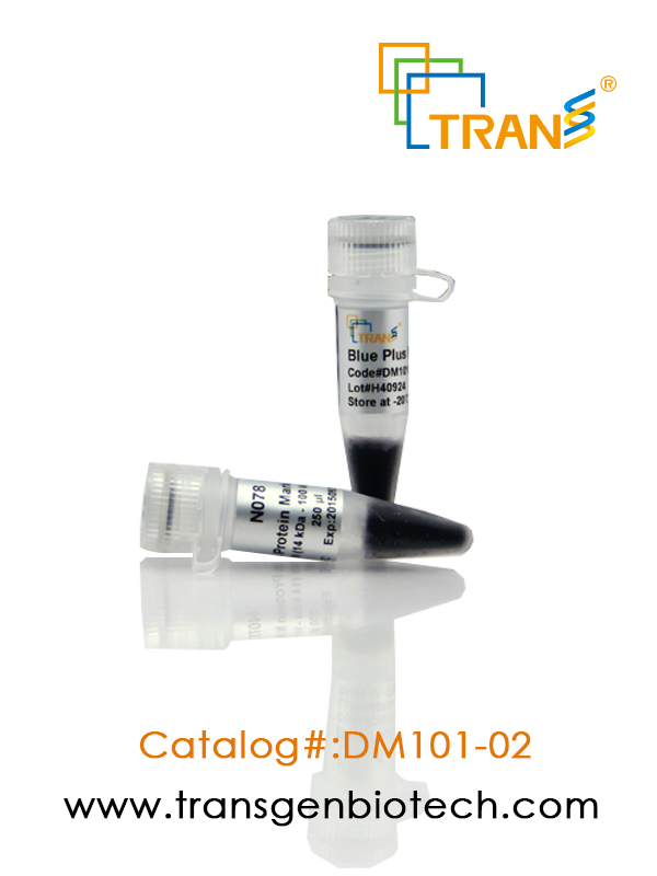 Blue Plus® Protein Marker (14-100 kDa)
