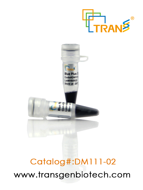 Blue Plus® II Protein Marker (14-120 kDa)