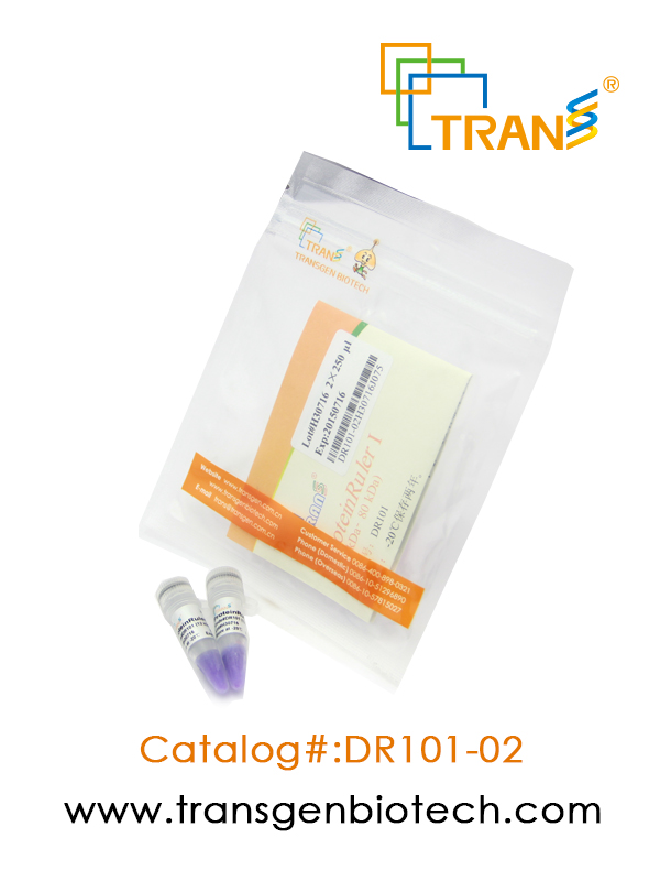 ProteinRuler® I (12-80 kDa)