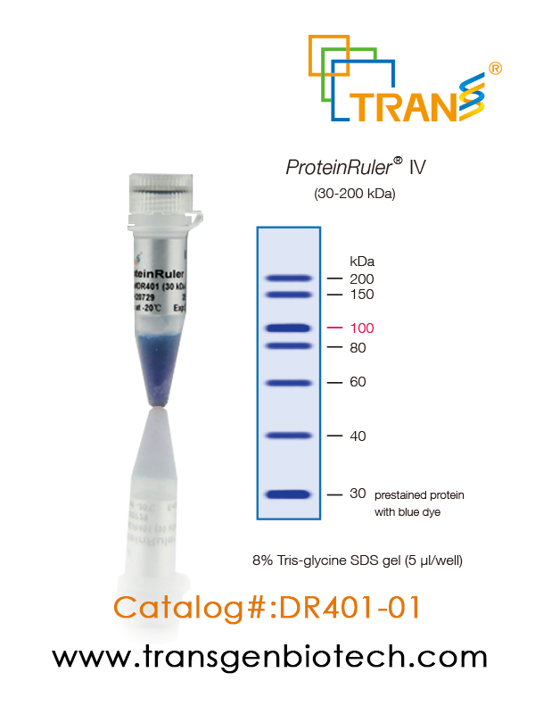 ProteinRuler® IV (30-200 kDa)