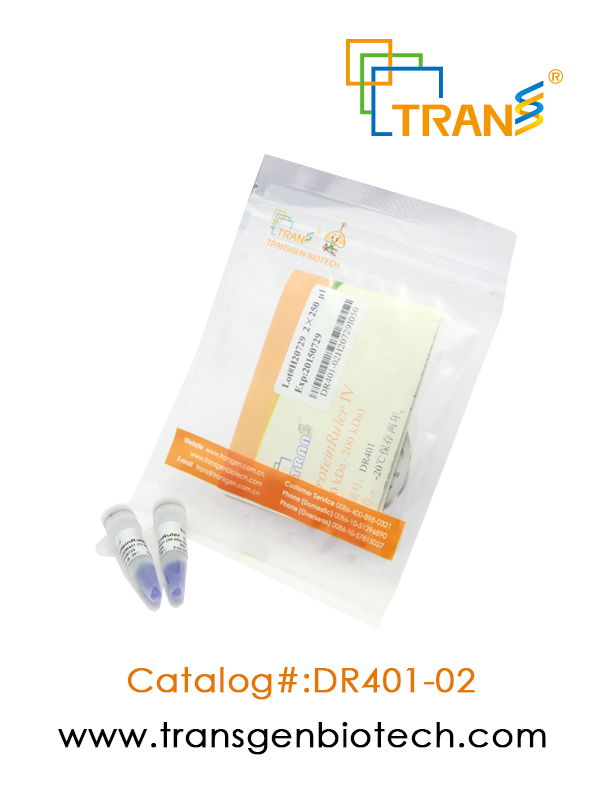 ProteinRuler® IV (30-200 kDa)