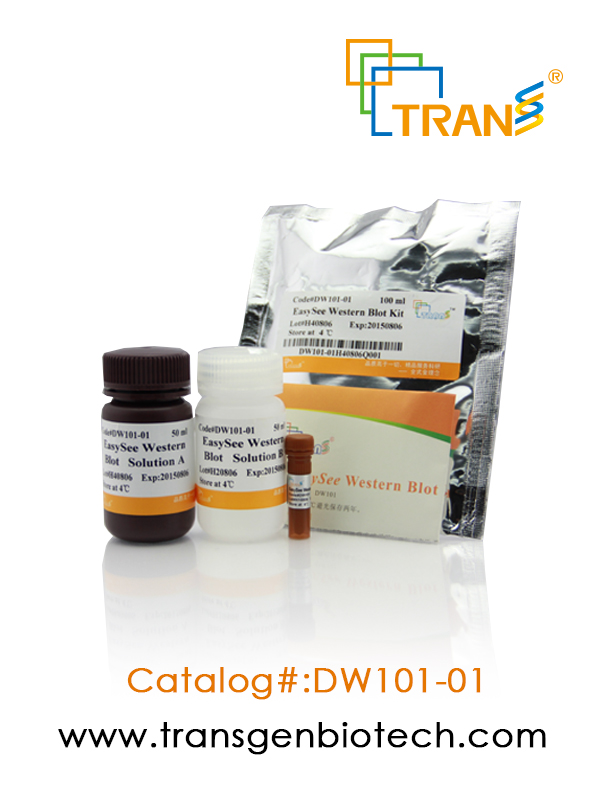 EasySee® Western Blot Kit