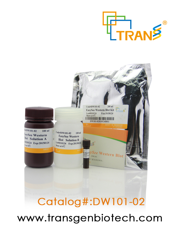 EasySee® Western Blot Kit