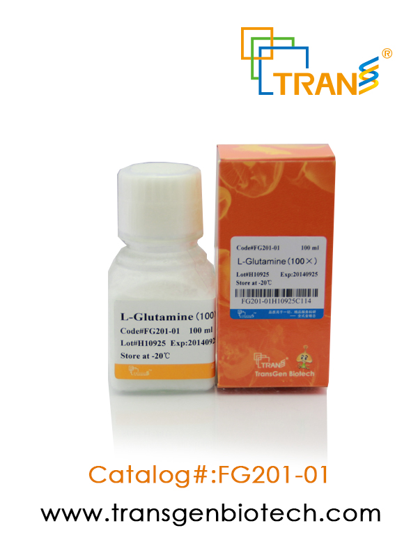 L-Glutamine (100×)