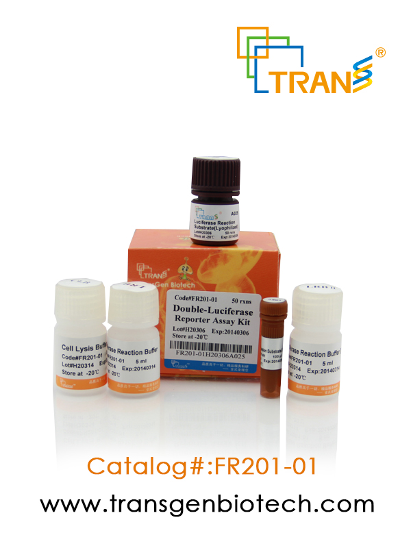 TransDetectTM Double-Luciferase Reporter Assay Kit